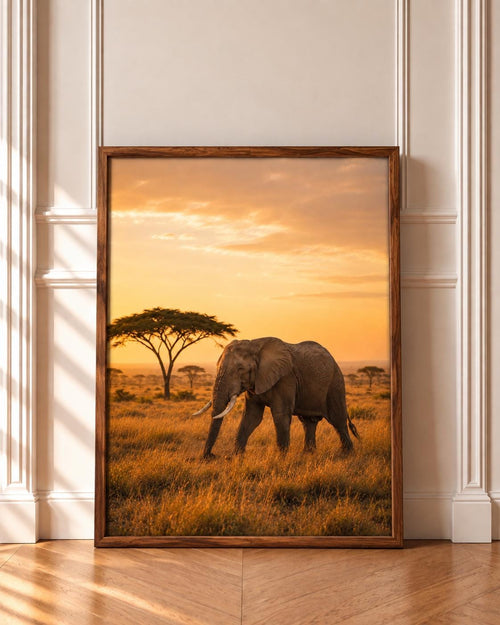 Elephant wall art print