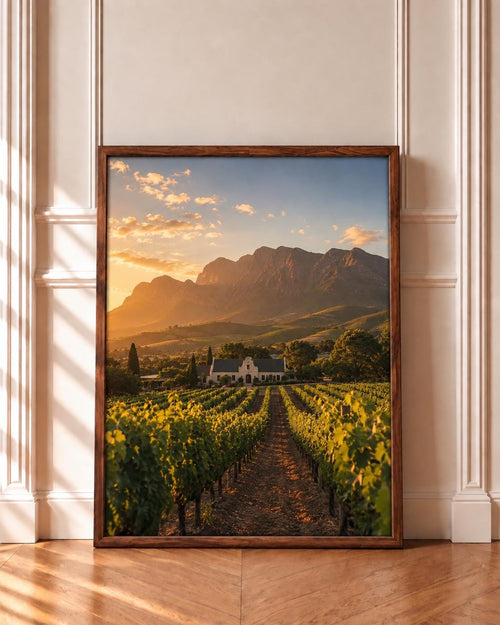 Cape Winelands wall art print