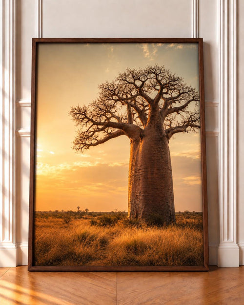 Baobab wall art print