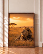 Safari Lion wall art print